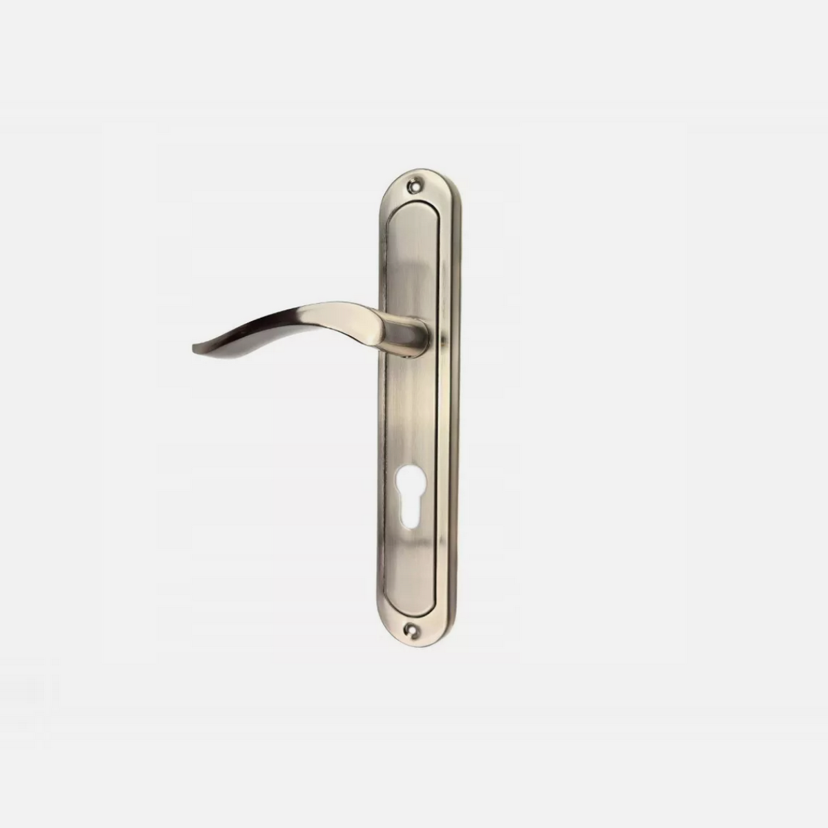 Türgriff- Langschild- Türbeschlag -Drückergarnitur- Türdrücker PZ(Profilzylinder) 72mm NATALIA-Satin